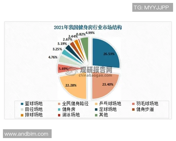 北京羽毛球队灵活性深度对比分析及其对比赛表现的影响探讨