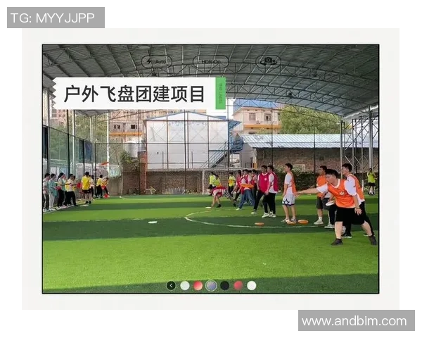 重庆飞盘队领跑最新飞盘团队协作排行榜前十名分析与展望