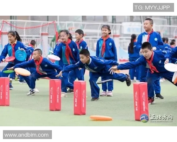 李芳独家分享飞盘技巧与心得体会助你轻松掌握这项运动的魅力与乐趣